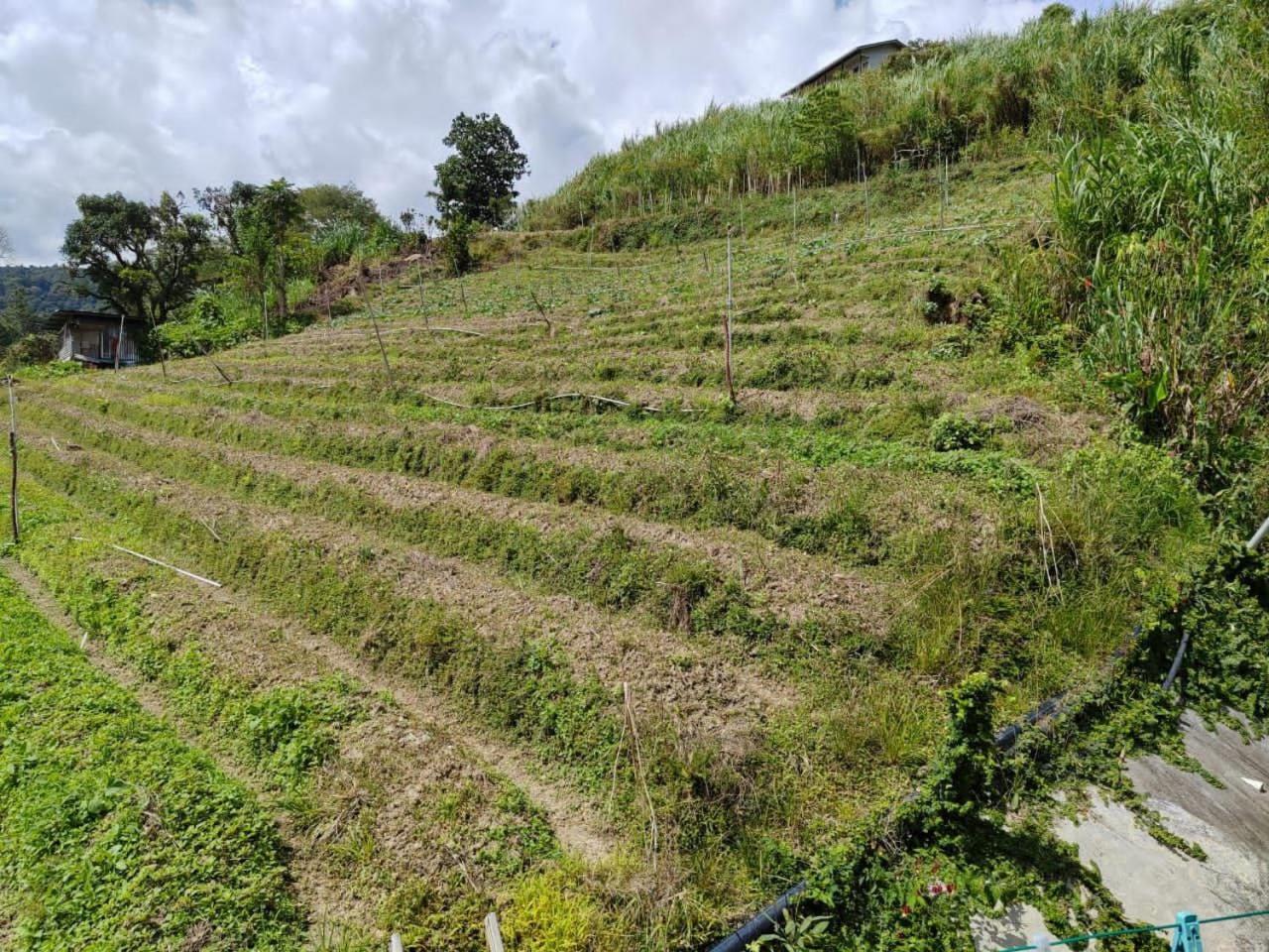 Kundasang Mount Garden Esterno foto