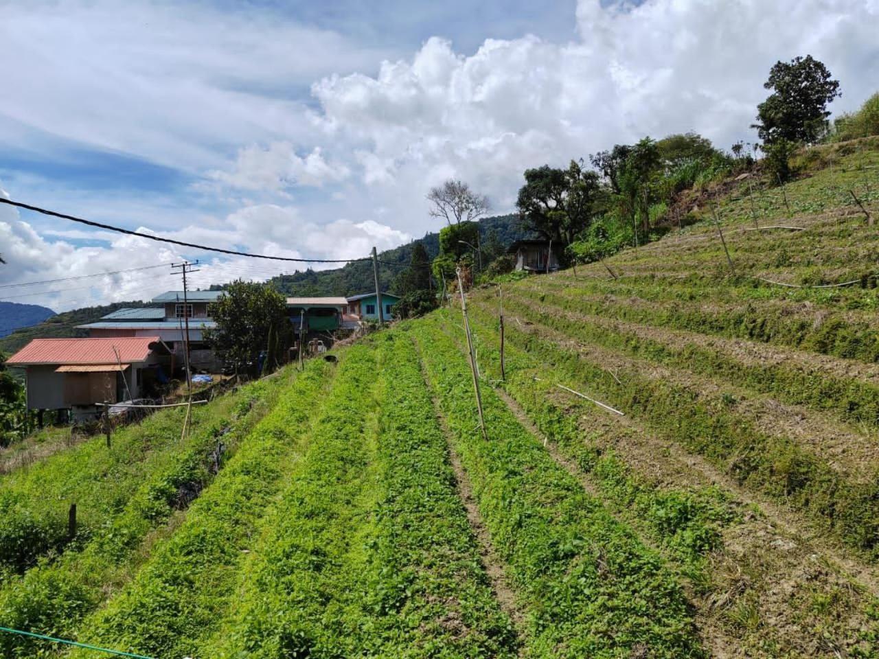 Kundasang Mount Garden Esterno foto